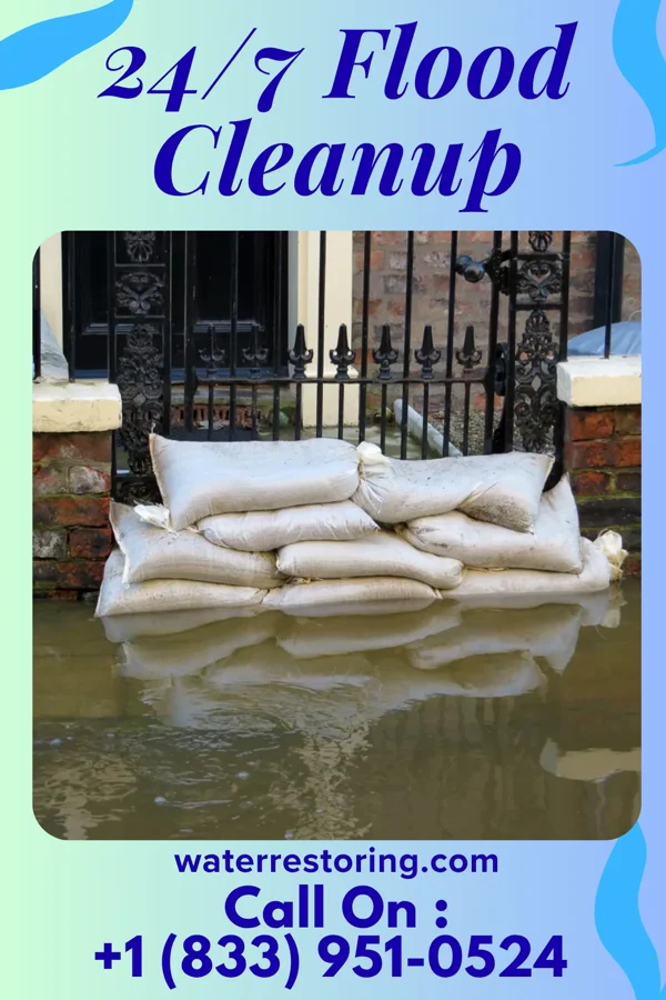 24/7 Flood Cleanup in Williams, MN