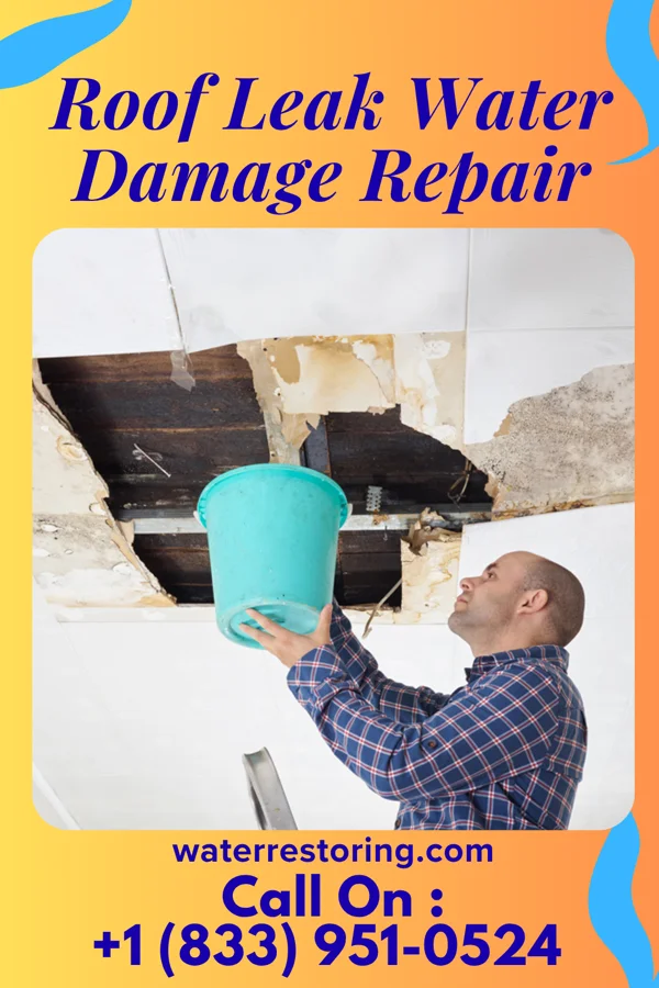 Roof Leak Water Damage Repair in Williams, MN